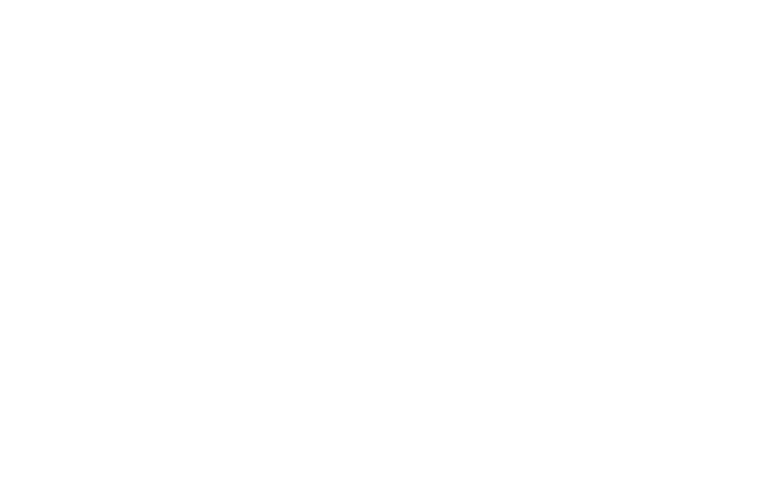 white logo of Chaparral Steel Supply
